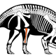 Esqueleto de Centrosaurus apertus, con el fémur indicado.